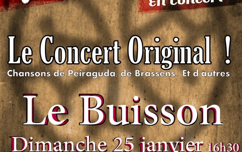 Affiche du concert