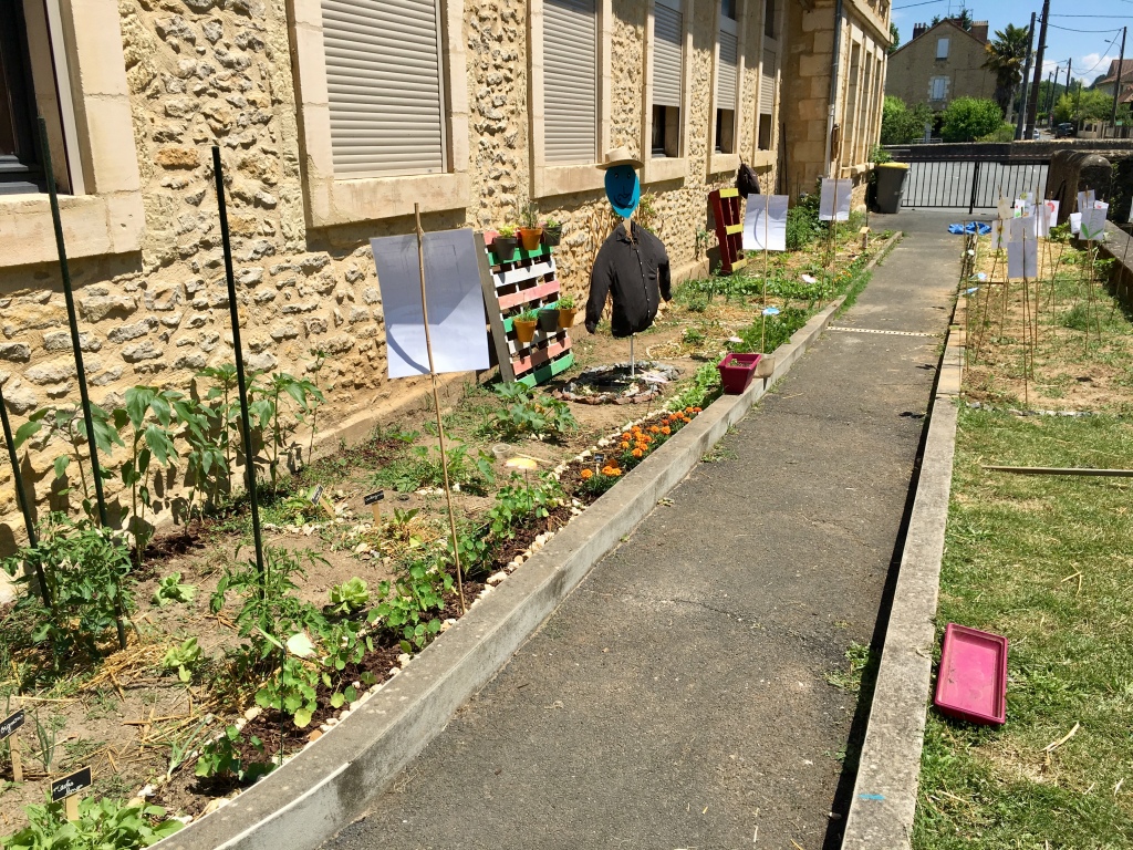 Potager à l'école