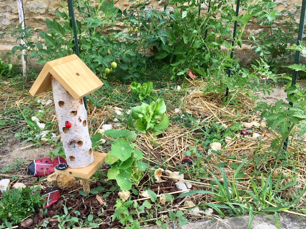 Potager à l'école