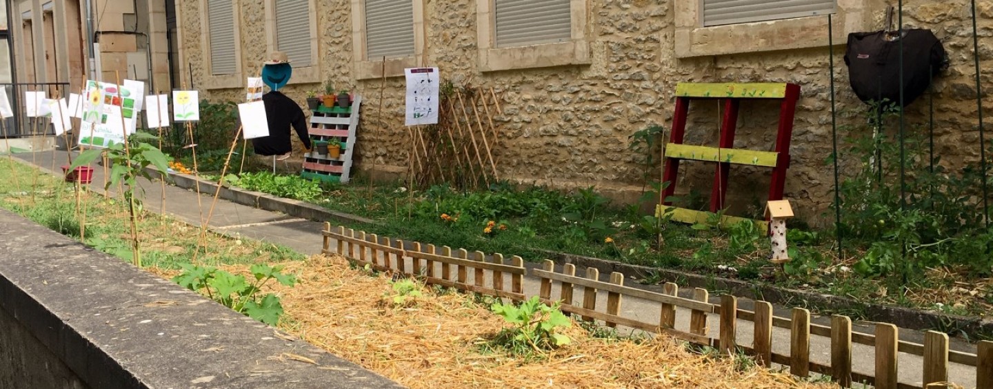 Un potager à l’école !