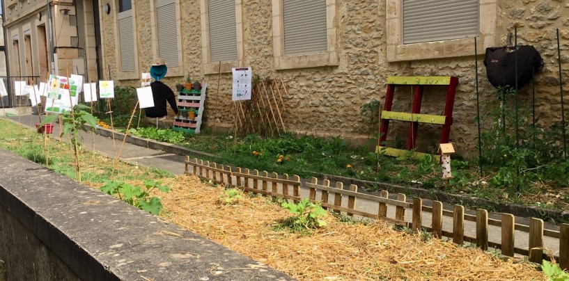 Un potager à l’école !