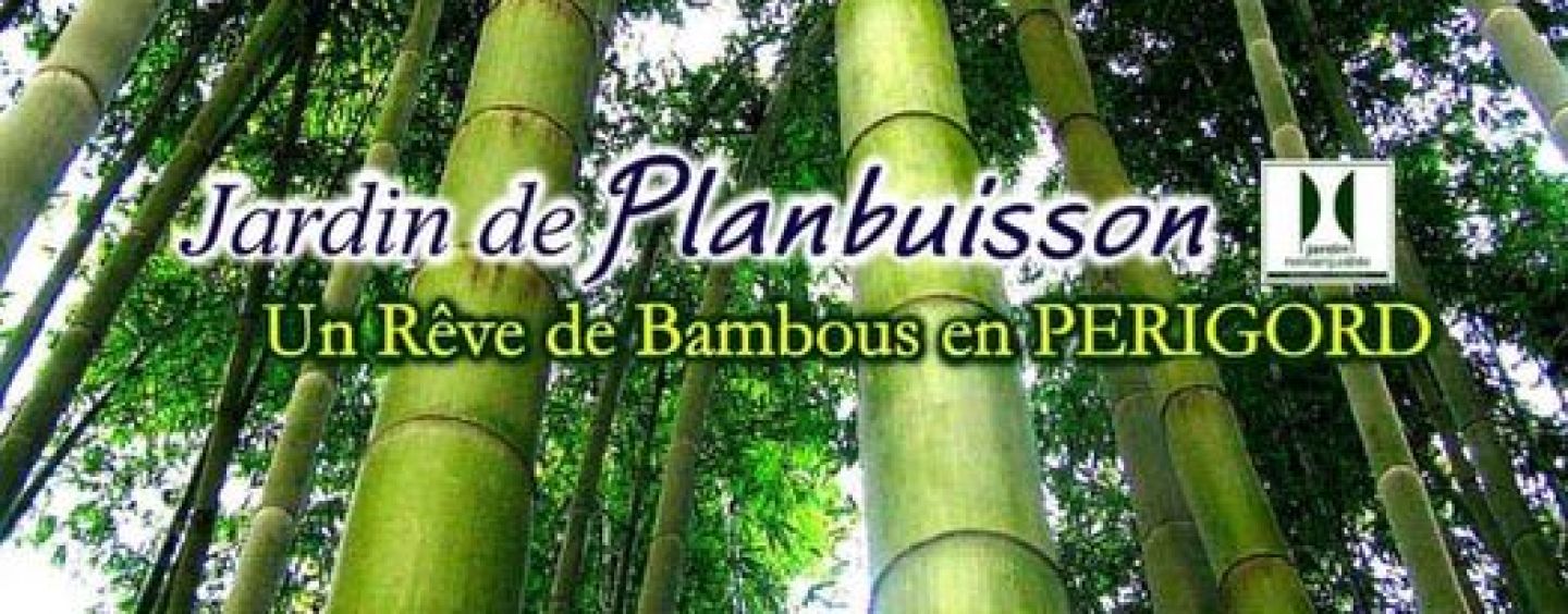 Planbuisson sur France 5