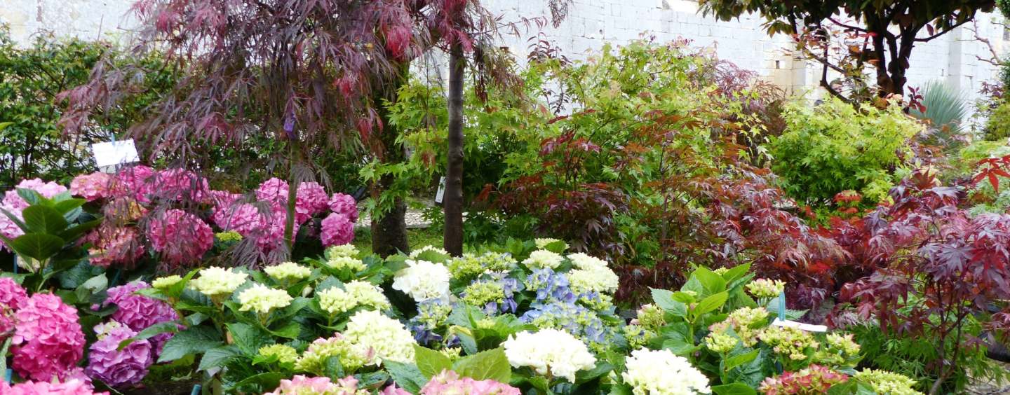 * Floralies de Cadouin