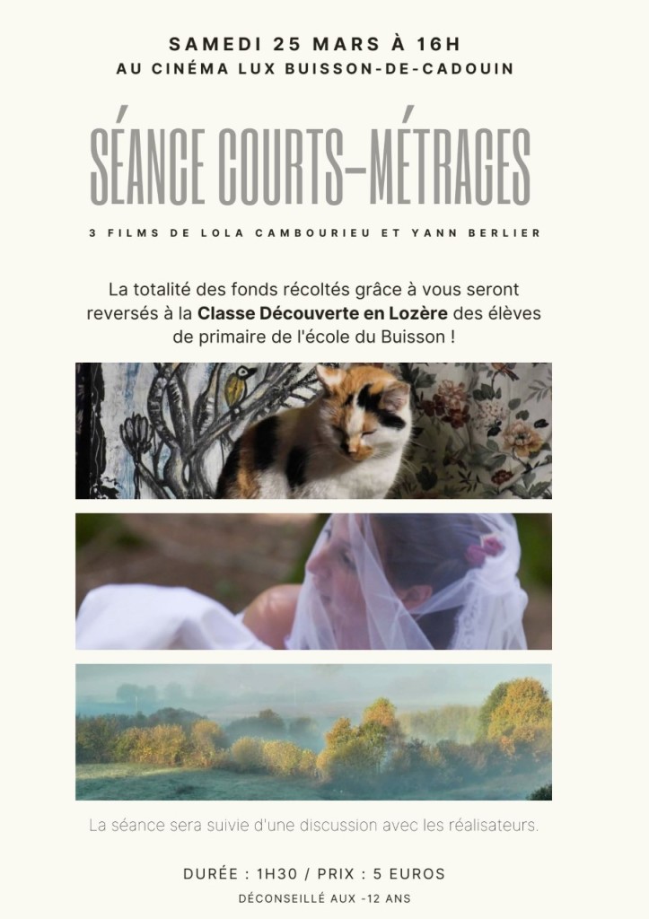thumbnail_séancelux_3filmsflyer