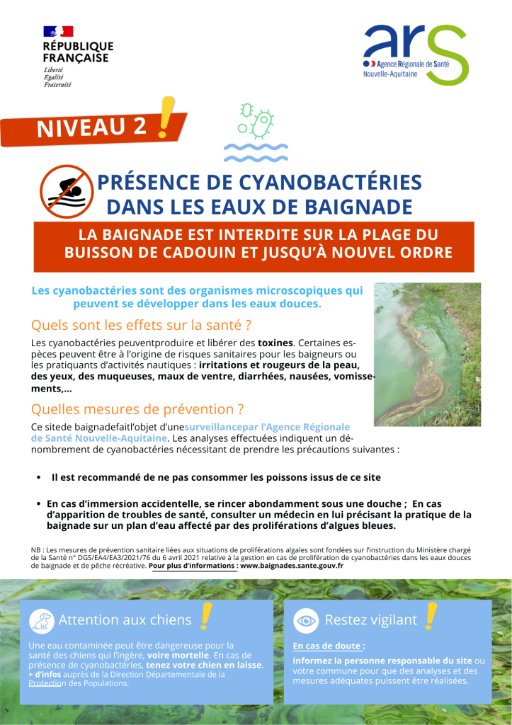 LABAIGNADEEST INTERDITESURCESITE ET JUSQU’À NOUVEL ORDRE Les cyanobactéries sont des organismes microscopiques qui peuvent se développer dans les eaux douces.