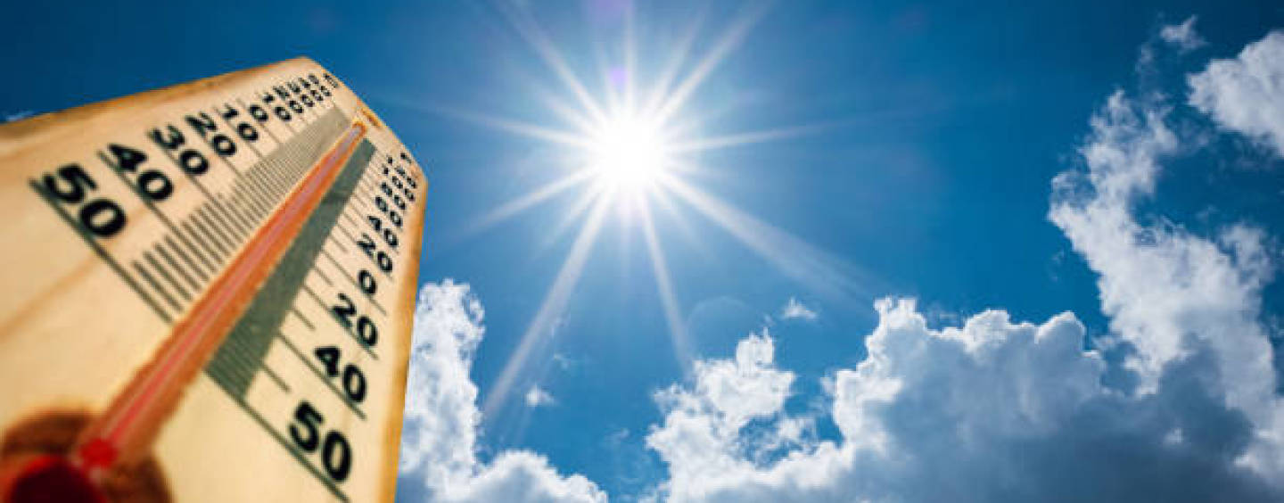 Canicule – Point fraîcheur au cinéma