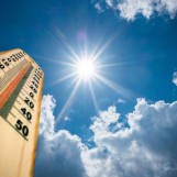 Canicule – Point fraîcheur au cinéma