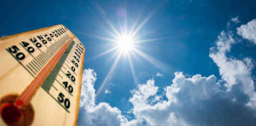 Canicule – Point fraîcheur au cinéma